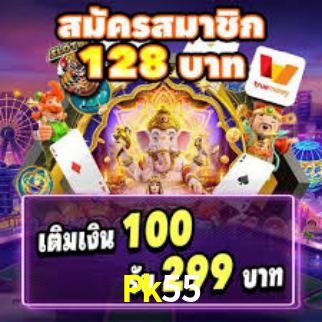 Premium Interface Pk55