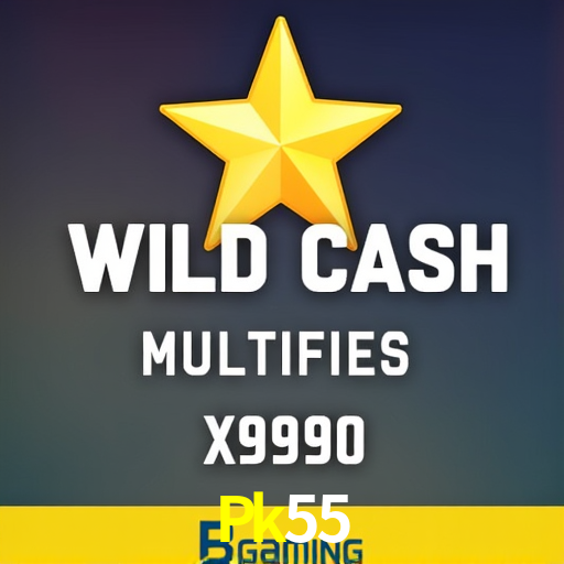 Experiência VIP Pk55