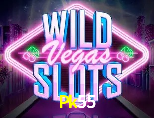 Flash Promotion Pk55